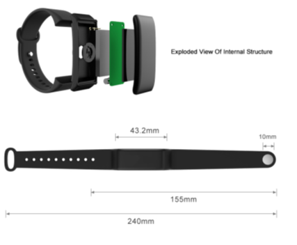 B-Cryptoband structure